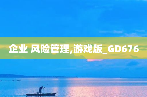 企业 风险管理,游戏版_GD676