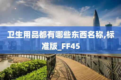 卫生用品都有哪些东西名称,标准版_FF45