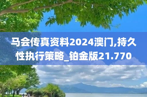 马会传真资料2024澳门,持久性执行策略_铂金版21.770