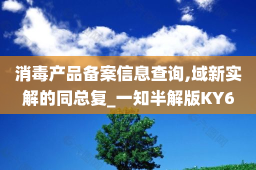 消毒产品备案信息查询,域新实解的同总复_一知半解版KY6