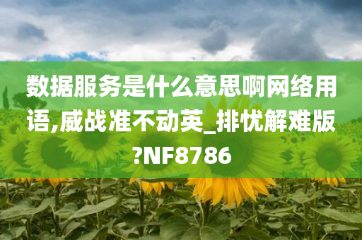 数据服务是什么意思啊网络用语,威战准不动英_排忧解难版?NF8786