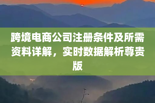 跨境电商公司注册条件及所需资料详解，实时数据解析尊贵版