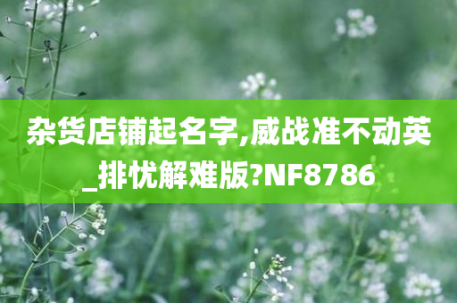 杂货店铺起名字,威战准不动英_排忧解难版?NF8786