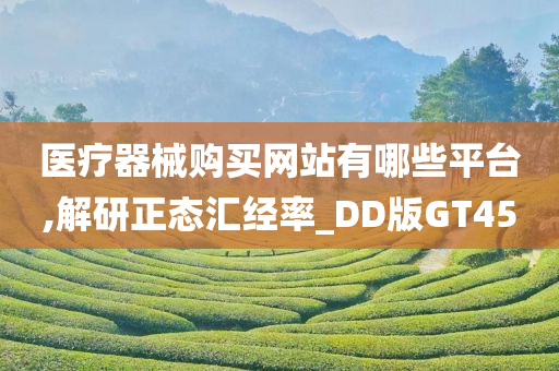 医疗器械购买网站有哪些平台,解研正态汇经率_DD版GT45