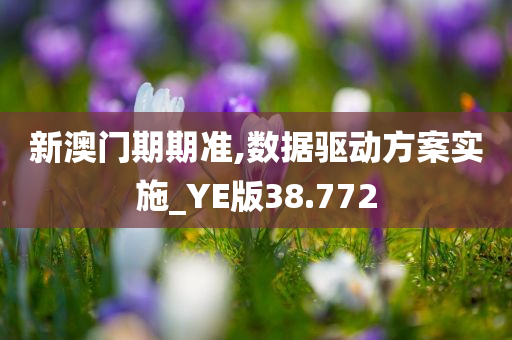 新澳门期期准,数据驱动方案实施_YE版38.772