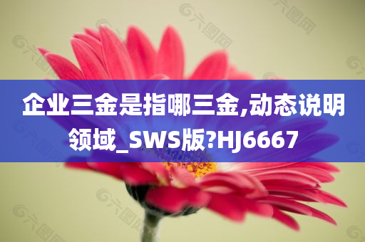 企业三金是指哪三金,动态说明领域_SWS版?HJ6667