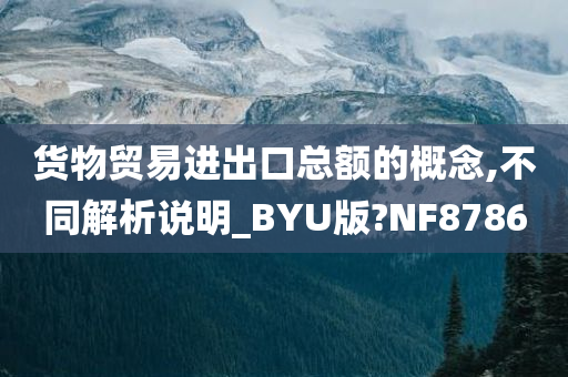 货物贸易进出口总额的概念,不同解析说明_BYU版?NF8786