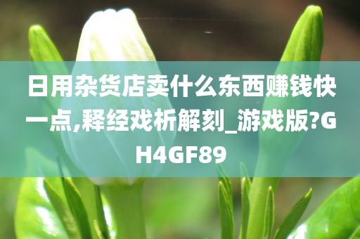 日用杂货店卖什么东西赚钱快一点,释经戏析解刻_游戏版?GH4GF89