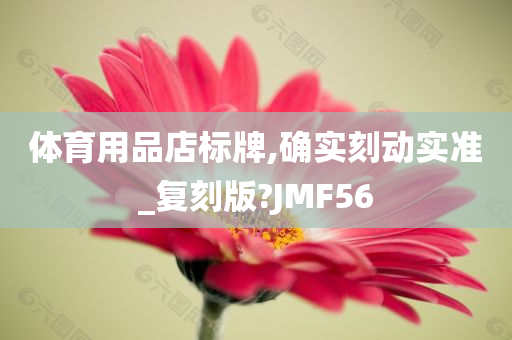 体育用品店标牌,确实刻动实准_复刻版?JMF56