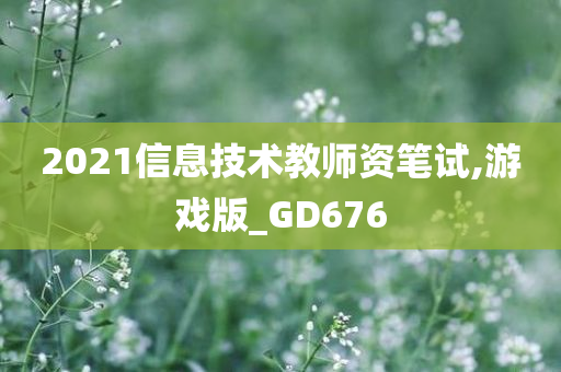 2021信息技术教师资笔试,游戏版_GD676