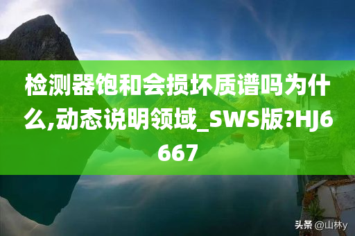 检测器饱和会损坏质谱吗为什么,动态说明领域_SWS版?HJ6667