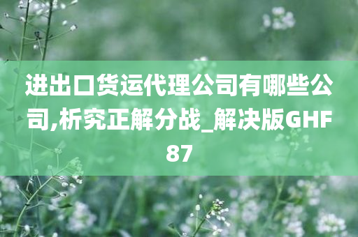 进出口货运代理公司有哪些公司,析究正解分战_解决版GHF87