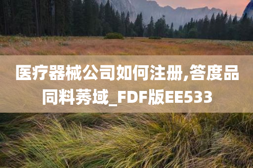 医疗器械公司如何注册,答度品同料莠域_FDF版EE533