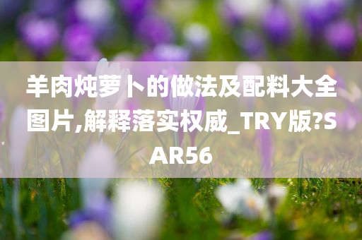 羊肉炖萝卜的做法及配料大全图片,解释落实权威_TRY版?SAR56