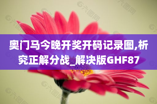 奥门马今晚开奖开码记录图,析究正解分战_解决版GHF87