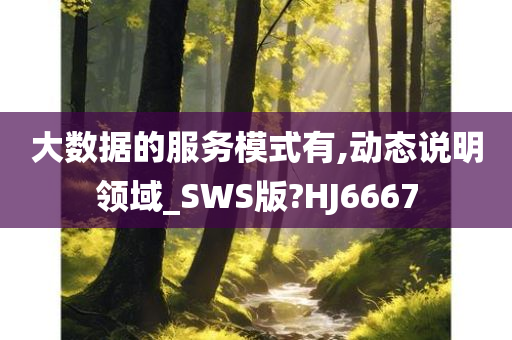 大数据的服务模式有,动态说明领域_SWS版?HJ6667