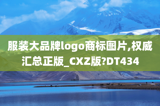 服装大品牌logo商标图片,权威汇总正版_CXZ版?DT434