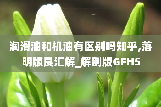 润滑油和机油有区别吗知乎,落明版良汇解_解剖版GFH5