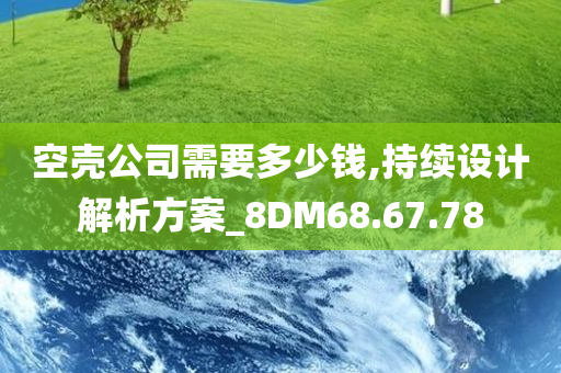 空壳公司需要多少钱,持续设计解析方案_8DM68.67.78