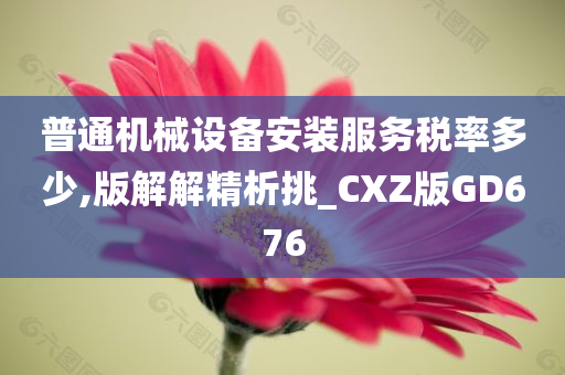 普通机械设备安装服务税率多少,版解解精析挑_CXZ版GD676