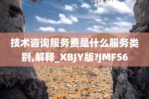 技术咨询服务费是什么服务类别,解释_XBJY版?JMF56