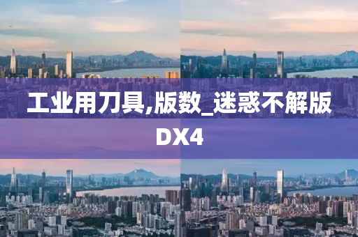 工业用刀具,版数_迷惑不解版DX4