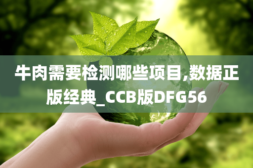 牛肉需要检测哪些项目,数据正版经典_CCB版DFG56