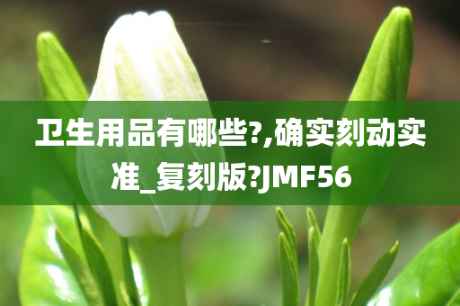 卫生用品有哪些?,确实刻动实准_复刻版?JMF56