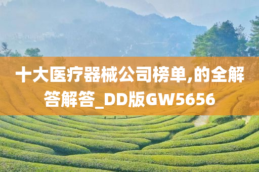 十大医疗器械公司榜单,的全解答解答_DD版GW5656