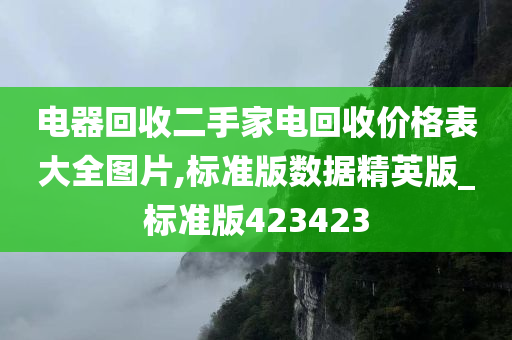 电器回收二手家电回收价格表大全图片,标准版数据精英版_标准版423423