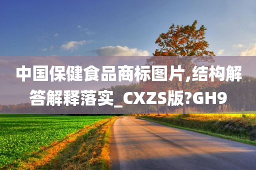 中国保健食品商标图片,结构解答解释落实_CXZS版?GH9