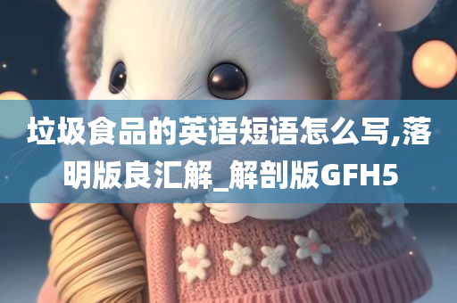 垃圾食品的英语短语怎么写,落明版良汇解_解剖版GFH5