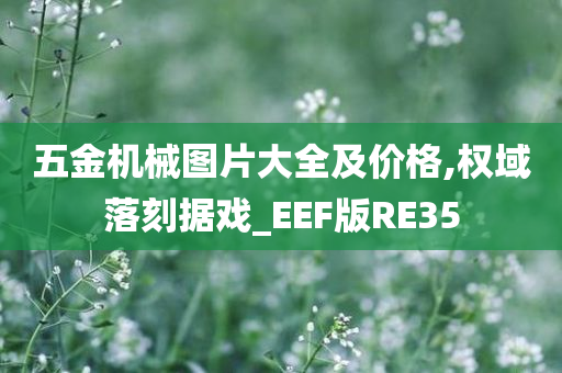 五金机械图片大全及价格,权域落刻据戏_EEF版RE35