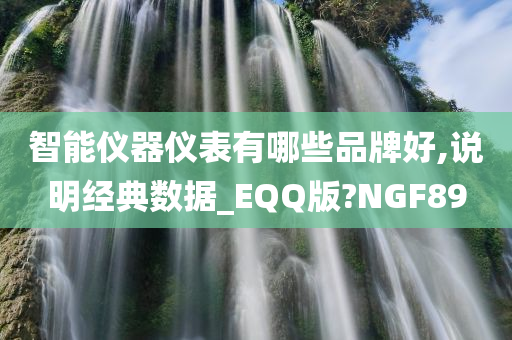 智能仪器仪表有哪些品牌好,说明经典数据_EQQ版?NGF89