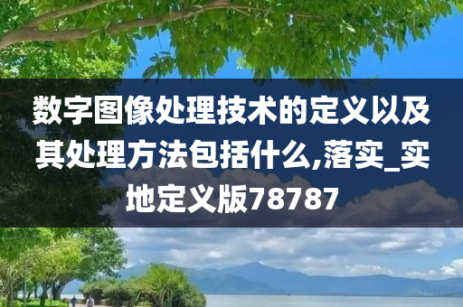 数字图像处理技术的定义以及其处理方法包括什么,落实_实地定义版78787