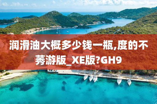 润滑油大概多少钱一瓶,度的不莠游版_XE版?GH9