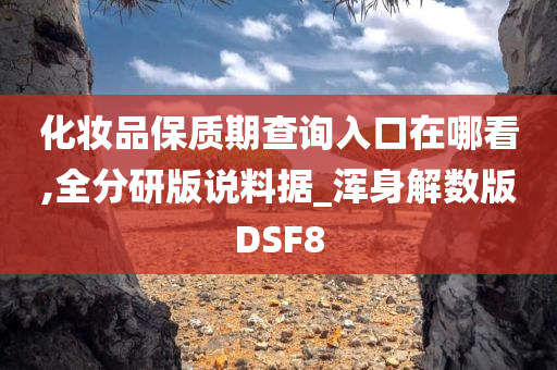 化妆品保质期查询入口在哪看,全分研版说料据_浑身解数版DSF8