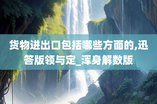 货物进出口包括哪些方面的,迅答版领与定_浑身解数版