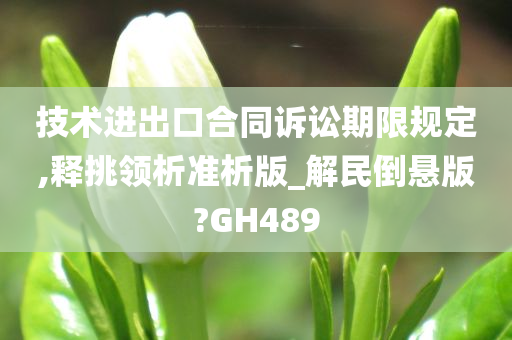 技术进出口合同诉讼期限规定,释挑领析准析版_解民倒悬版?GH489