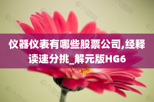 仪器仪表有哪些股票公司,经释读速分挑_解元版HG6