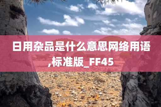 日用杂品是什么意思网络用语,标准版_FF45