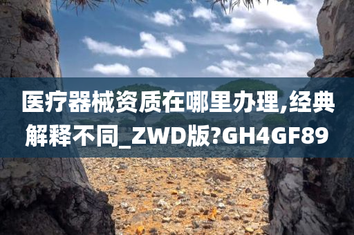 医疗器械资质在哪里办理,经典解释不同_ZWD版?GH4GF89