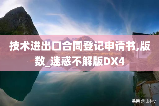 技术进出口合同登记申请书,版数_迷惑不解版DX4