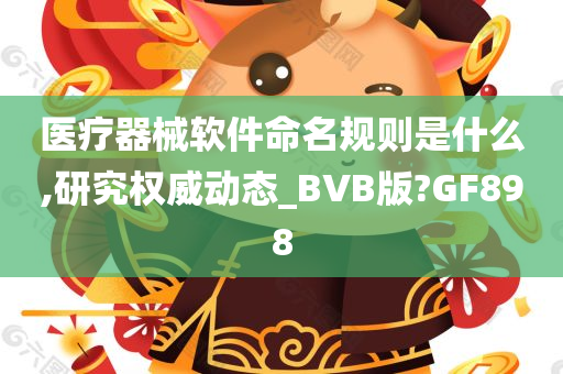 医疗器械软件命名规则是什么,研究权威动态_BVB版?GF898