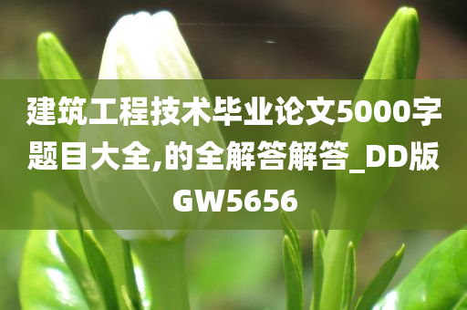 建筑工程技术毕业论文5000字题目大全,的全解答解答_DD版GW5656