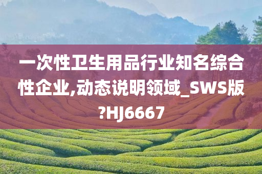 一次性卫生用品行业知名综合性企业,动态说明领域_SWS版?HJ6667