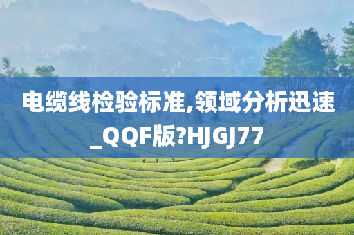 电缆线检验标准,领域分析迅速_QQF版?HJGJ77