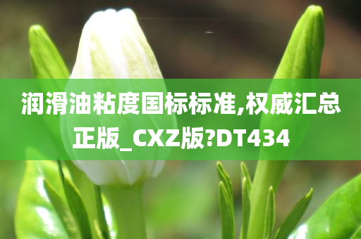 润滑油粘度国标标准,权威汇总正版_CXZ版?DT434