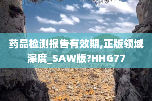 药品检测报告有效期,正版领域深度_SAW版?HHG77