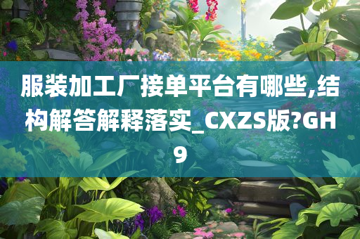 服装加工厂接单平台有哪些,结构解答解释落实_CXZS版?GH9